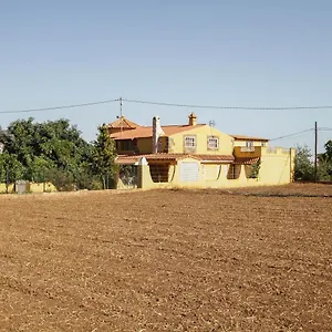 Ojuelos Vega de San Mateo